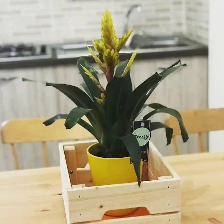 Domus Carolina 別荘 ポンペイ