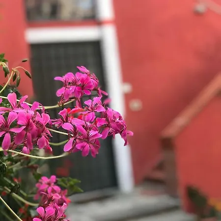 Domus Carolina Nyaraló