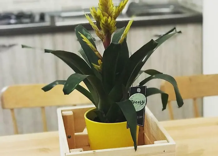 Domus Carolina Casa vacanze Pompei